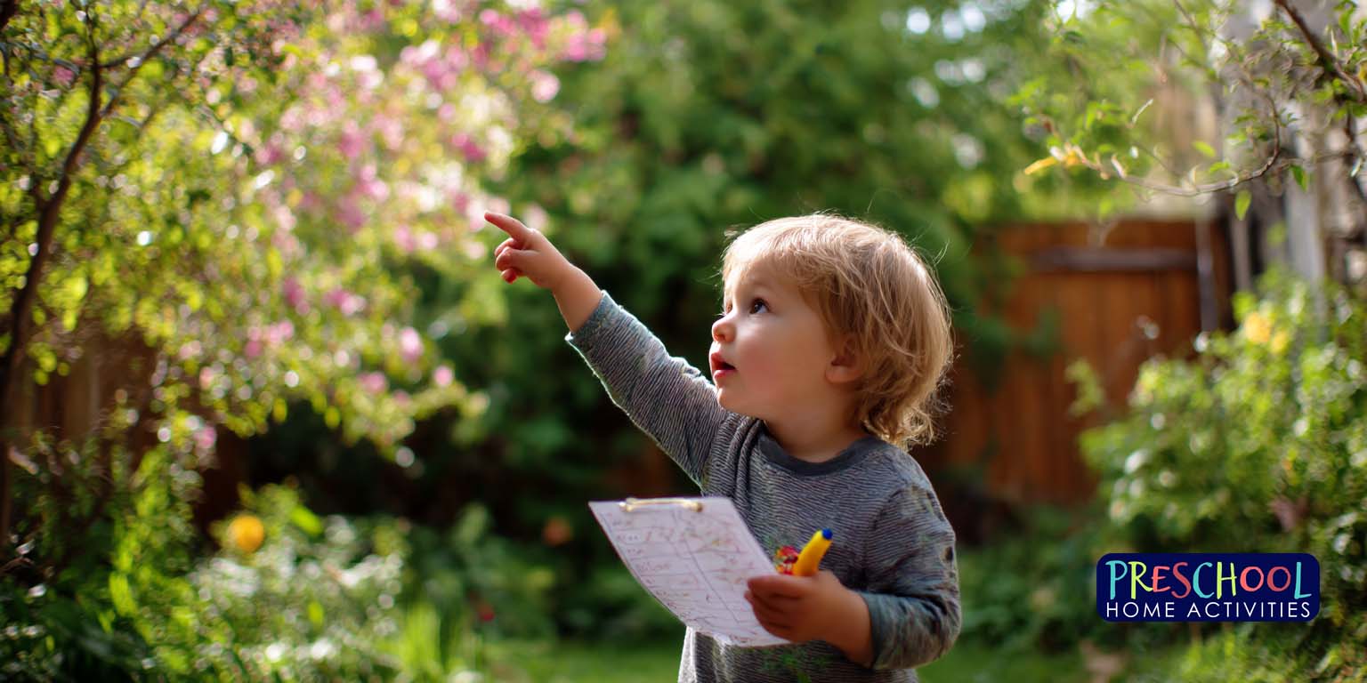 Summer Activities For Toddlers Backyard Nature