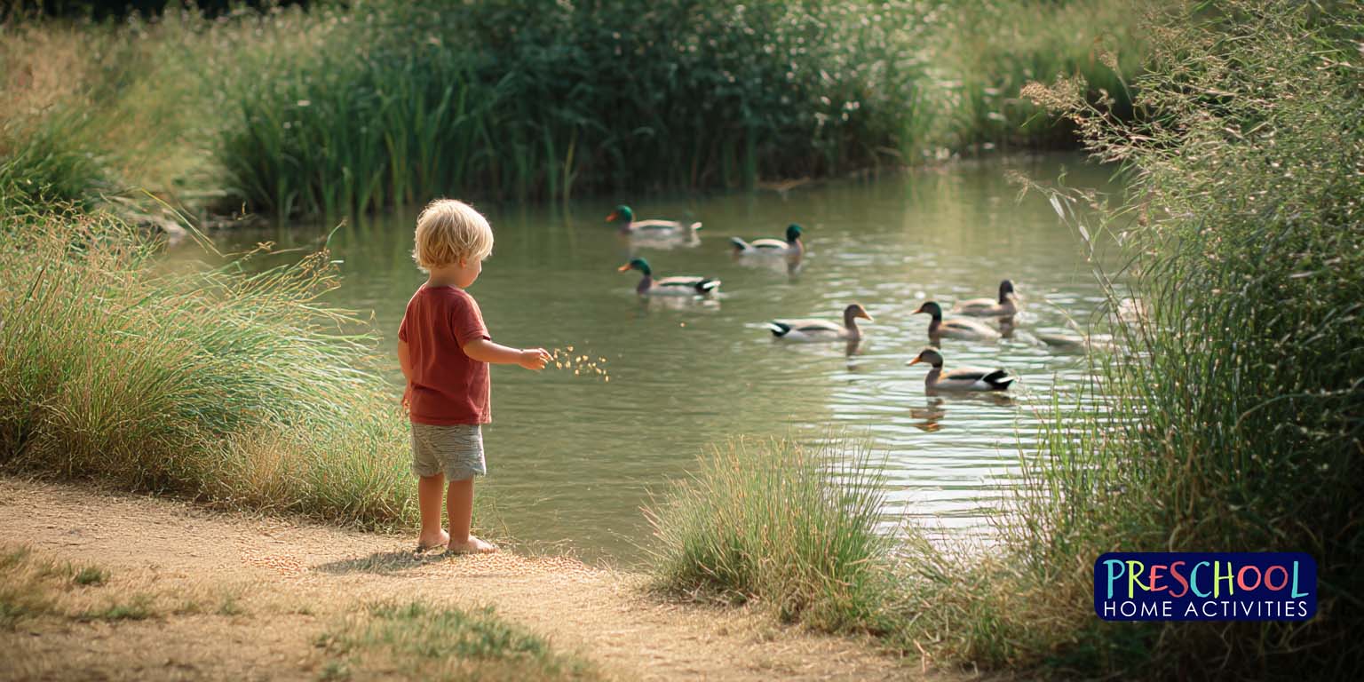 Summer Activities For Toddlers Duck Watching